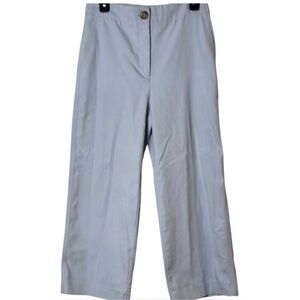Ann Taylor Soft Blue Trousers